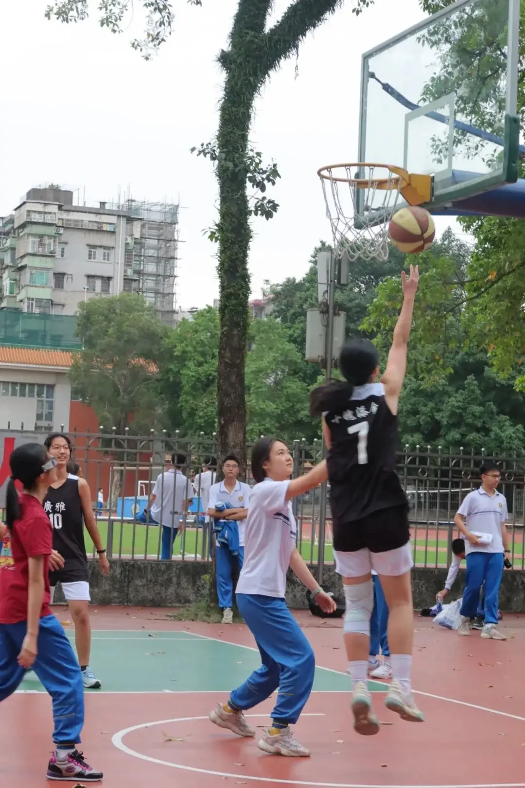 为什么现代篮球训练趋势强调技术与体能结合_0