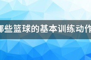 篮球训练动作有哪些名称图片